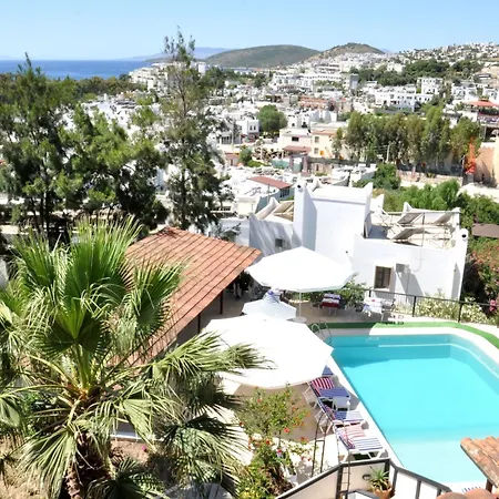 Hotel Gloria Tibi Jarra